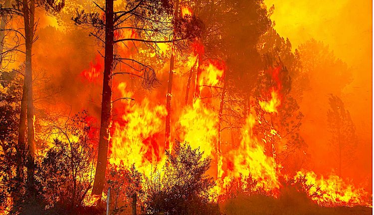 ALERTES ROUGES - La canicule et les feux, mélange détonnant